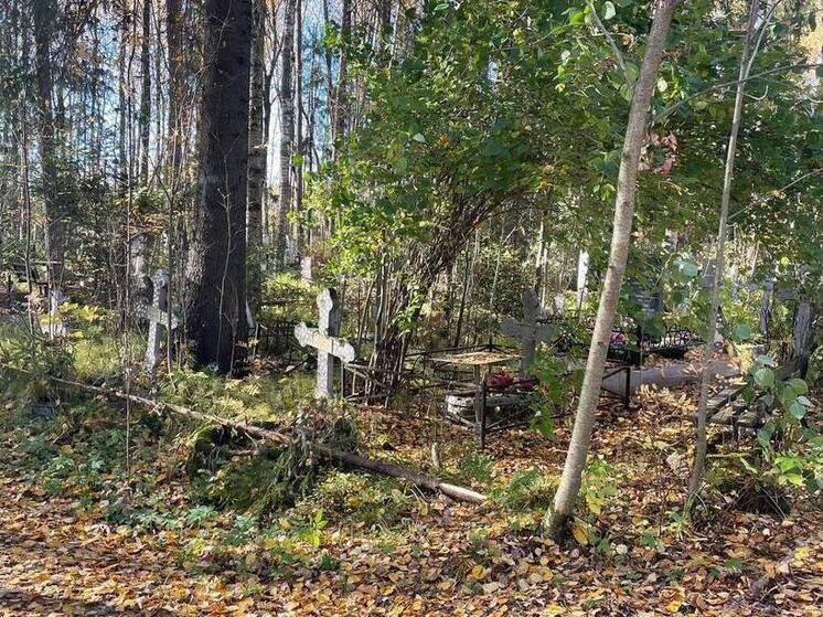 Прокуратура алтайского района добилась благоустройства кладбища через суд