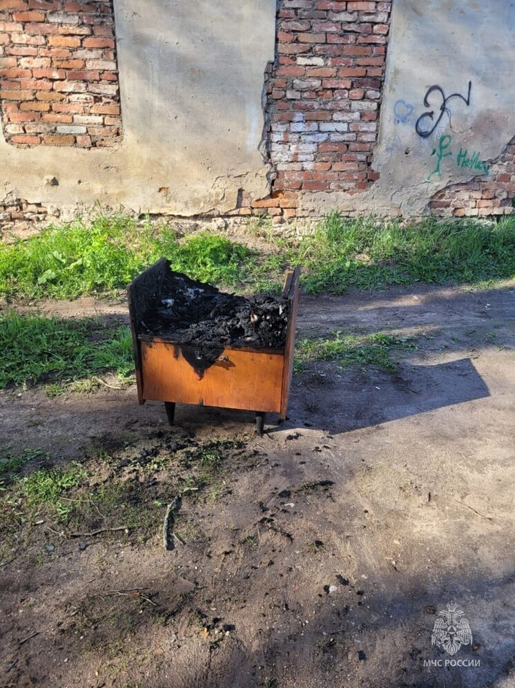 Мусорный контейнер загорелся на Звездной улице в Пскове