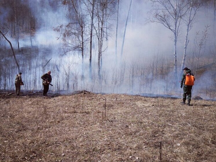 В Иркутской области потушено 12 лесных пожаров