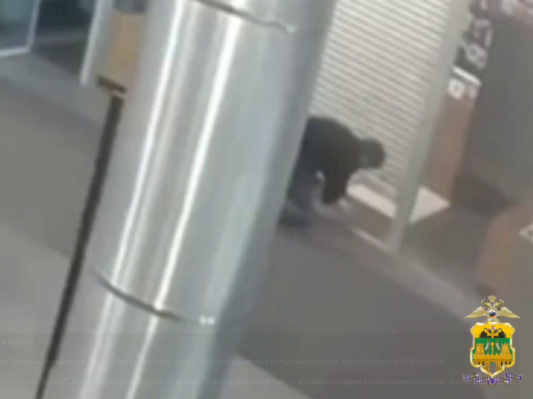 В Адлере задержан подозреваемый в краже гаджетов