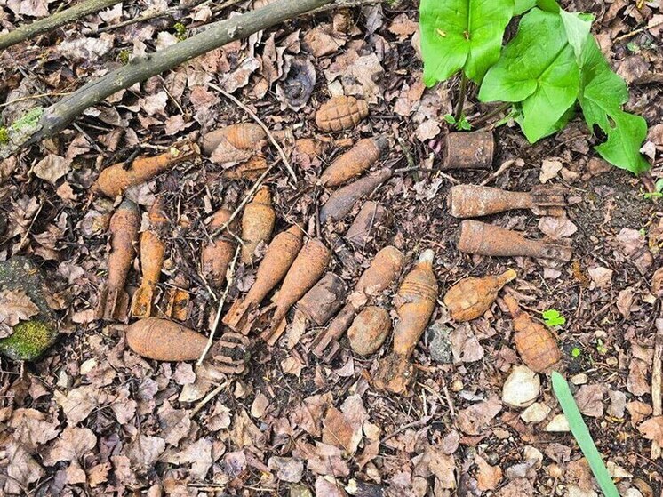 Более 40 боеприпасов времён ВОВ уничтожили в Крымском районе