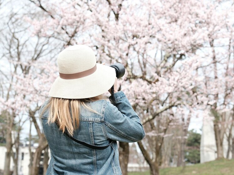 Министр Швырков: туристы хотят оставить денег в Воронеже, но не знают как