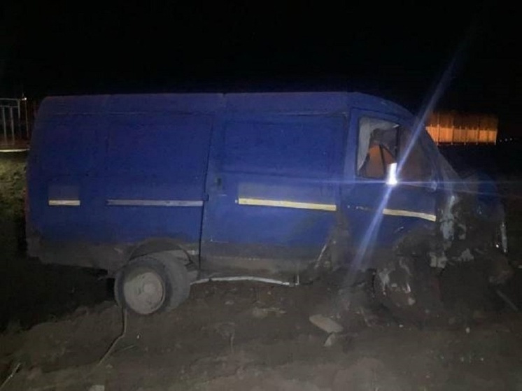 В Велижском районе «Газель» улетела в кювет