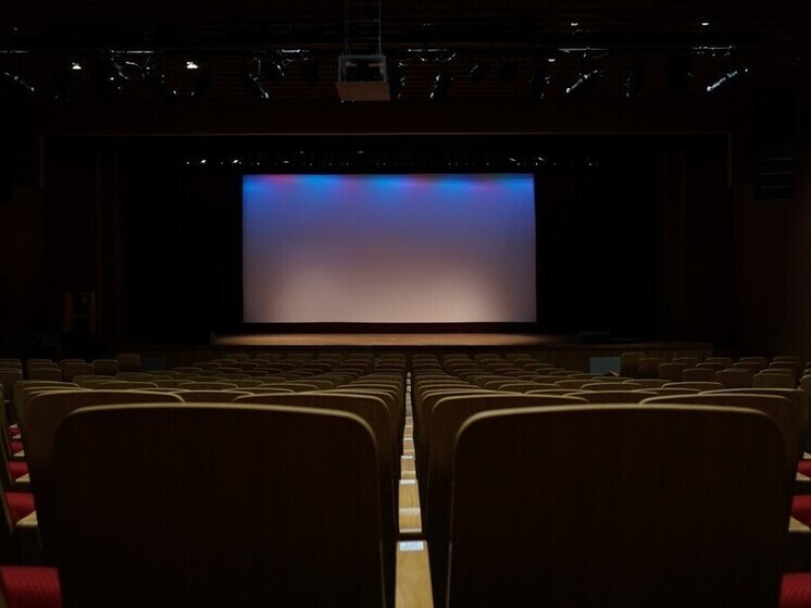 В театре кукол продолжают показывать «Кино Победы»