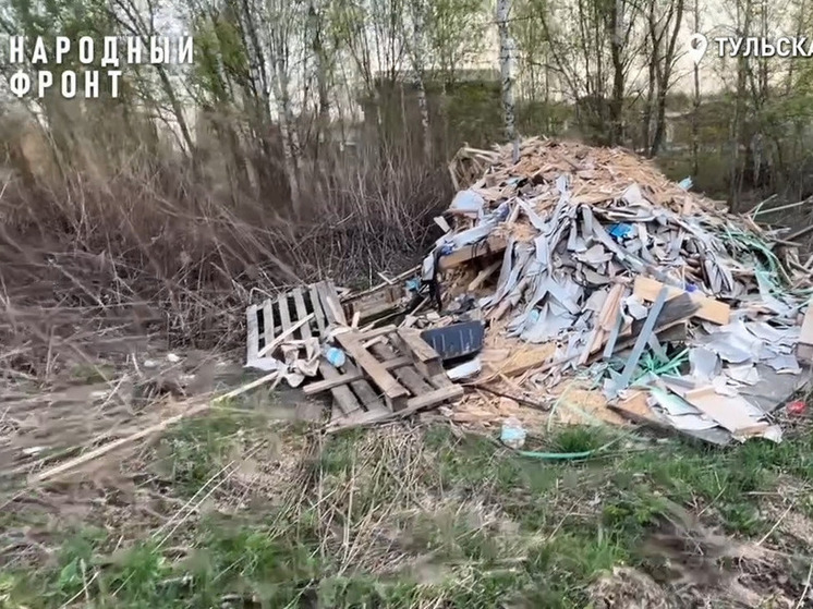 Тульская область задыхается от незаконных свалок строительного мусора
