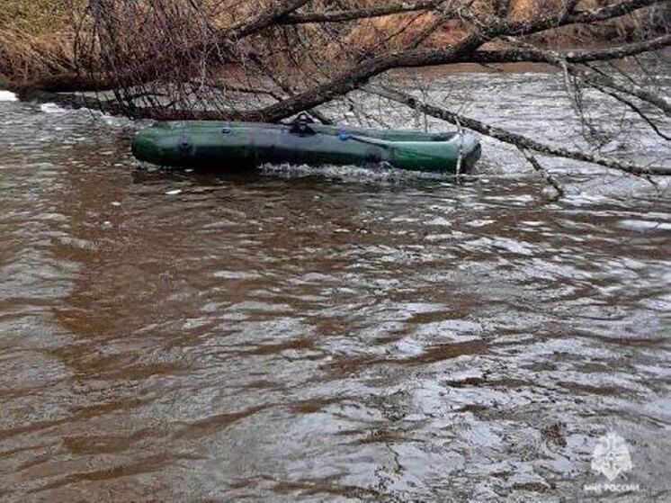 Рыбаки в Еврейской автономии пострадали из-за дерева