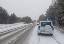В ночь с 28 на 29 ноября в Свердловской области выпало около 2 сантиметров снега