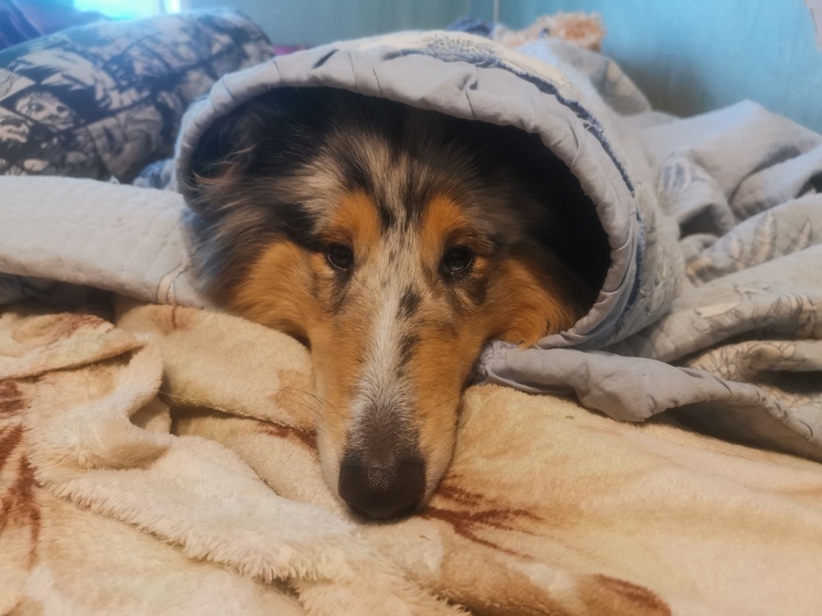 В последний день апреля Приморье ждет резкое похолодание и штормовой ветер до 25 м/с