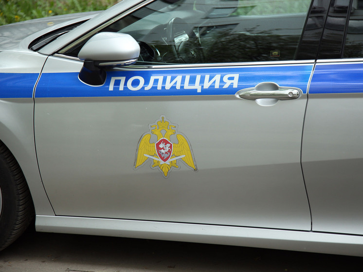 В Красноярском крае задержали мужчину за попытку похитить мальчика