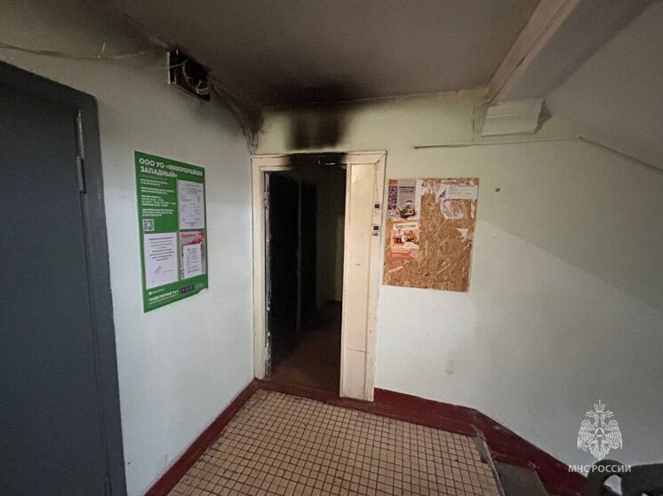 Поджог стал причиной пожара на улице Печорской в Пскове