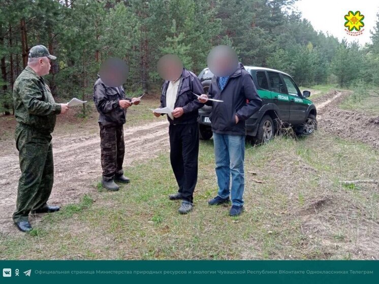 В Чувашии охотинспекторы и лесные инспекторы усилили контроль в лесах