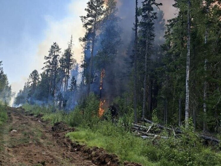 В Иркутской области потушены шесть лесных пожаров