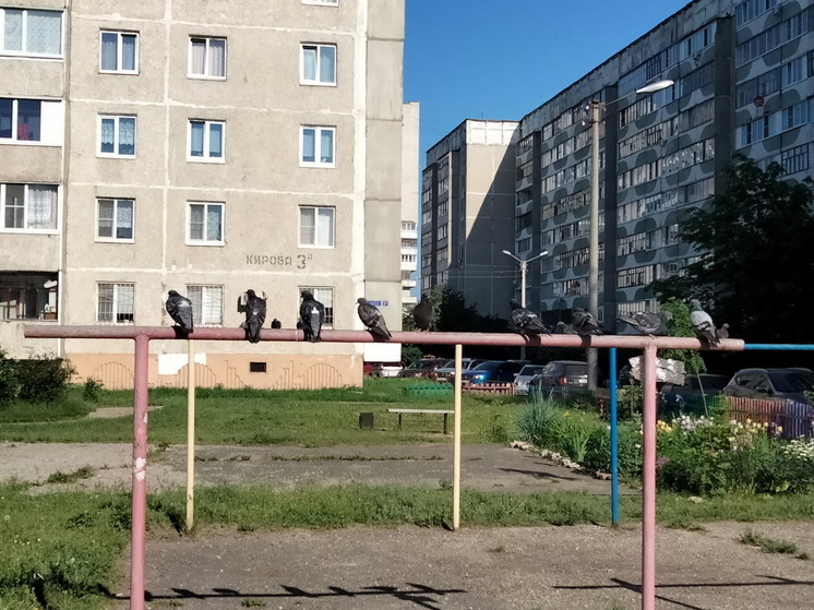 В 46 йошкар-олинских домах пройдет капремонт