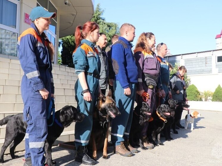 В Сочи прошли сборы кинологов