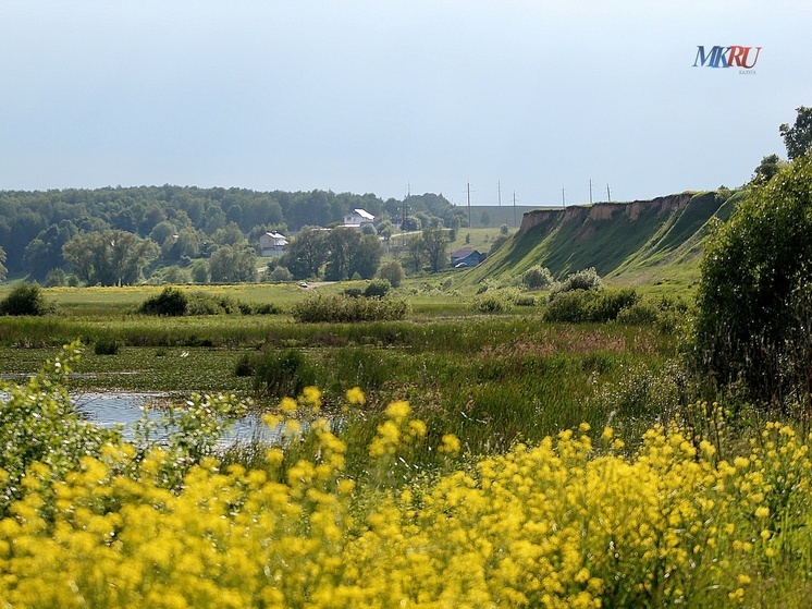 Калужанам рассказали, как вести себя на природе