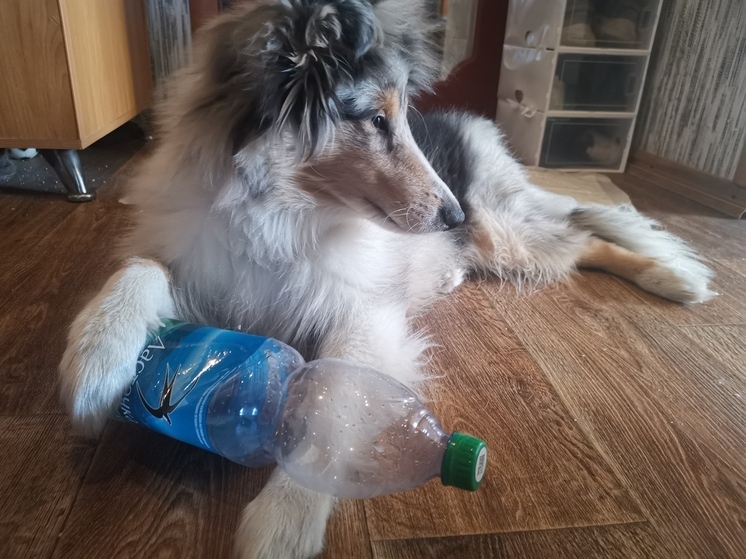 Приморцам рассказали, куда пропала любимая минералка «Ласточка» с полок магазинов