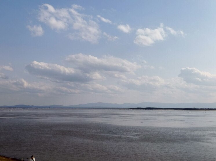В Благовещенске из-за сильного ветра объявлен режим повышенной готовности