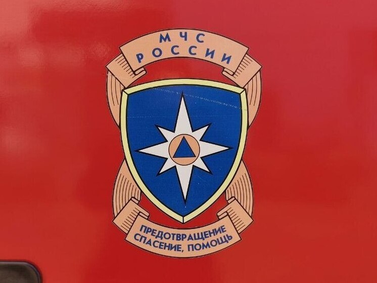 Дворовые постройки вспыхнули из-за сухой травы в Амурской области