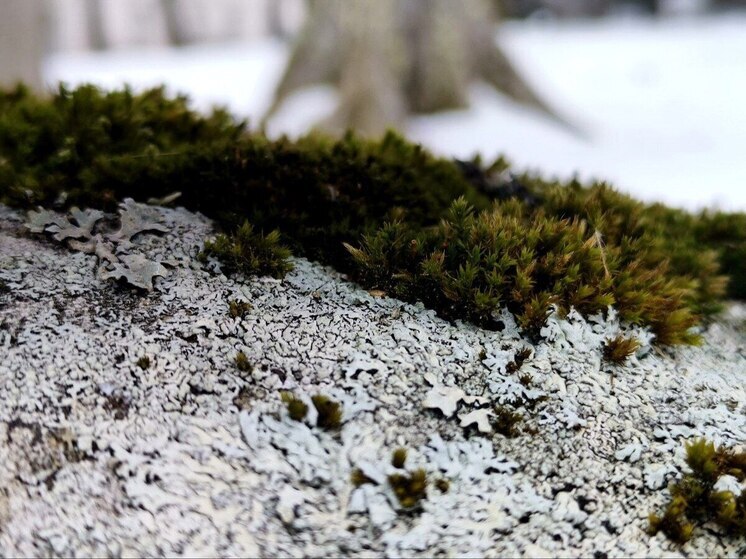 В Хабаровском крае проводят рейды по пожарной безопасности
