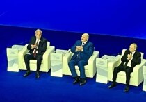 Президент России Владимир Путин прилетел в Волгоград для участия в памятных мероприятиях