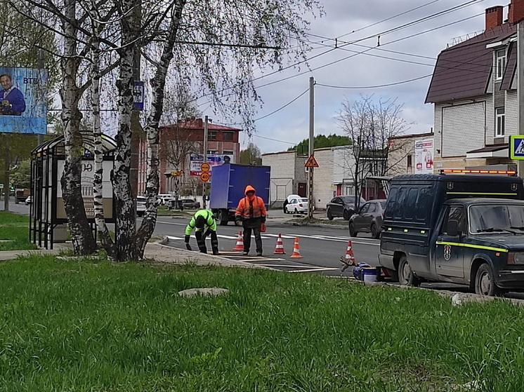 На улице Дружбы в Йошкар-Оле у 30-й школы появился пешеходный переход