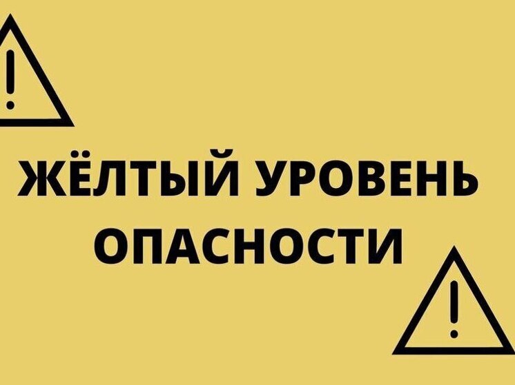 Синоптики предупредили жителей Чувашии о «желтом» уровне опасности