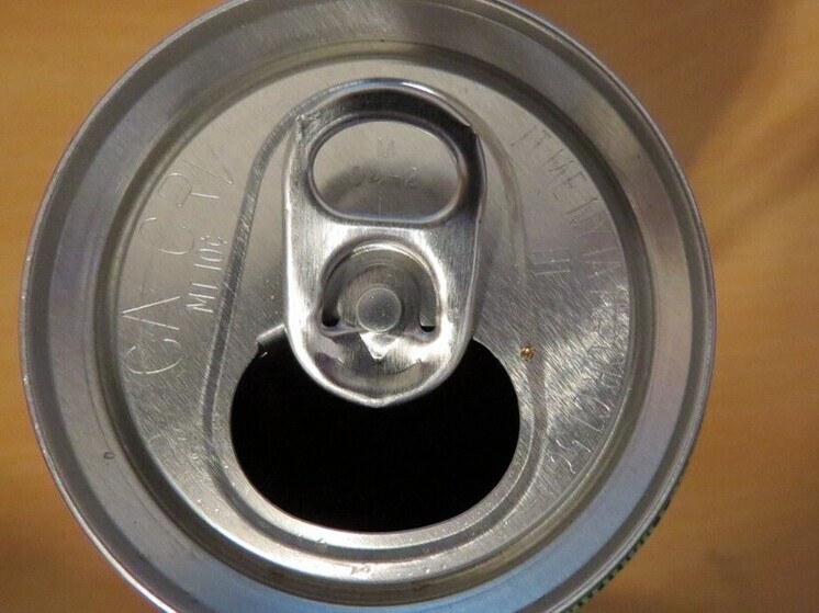 В отношении агрессивной мигрантки из Обнинска возбудили дело