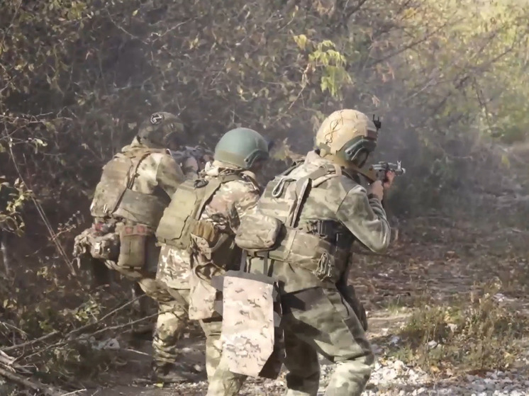 Военнослужащие ВС РФ общались с коллегами из КНДР при помощи разговорника