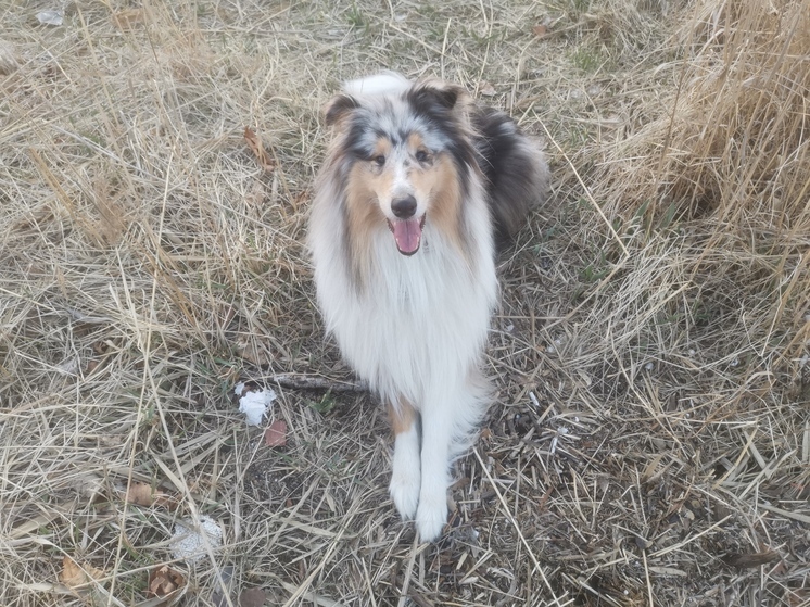 Стало известно, какая погода ожидает Приморье в среду, 30 апреля