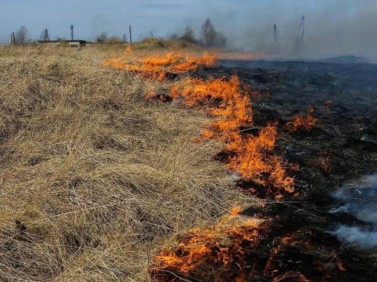 Минэкологии Якутии дало разъяснения по сельхозпалам