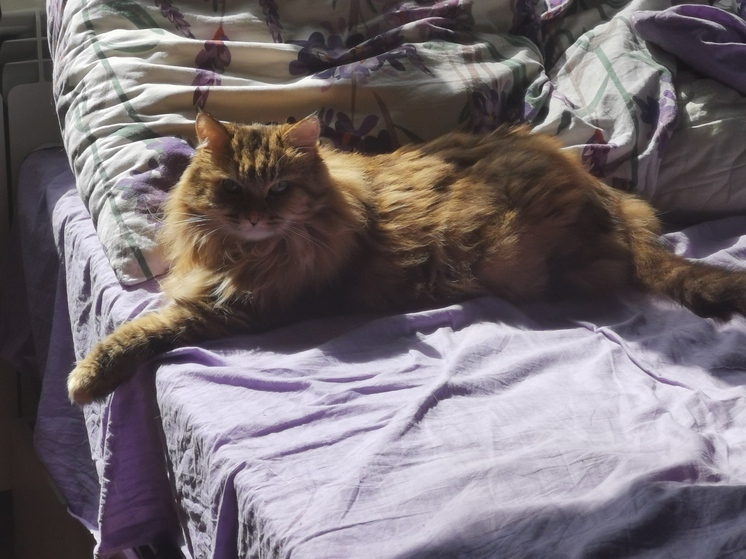 Штормовое предупреждение объявлено в Приморье на майские праздники