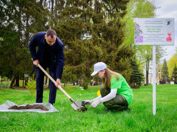 Юрий Зайцев посадил в парке Йошкар-Олы Тополь Победы