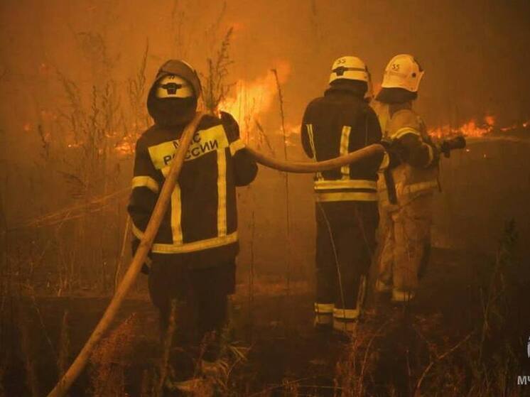 В ЛНР с начала года произошло более 700 ландшафтных пожаров