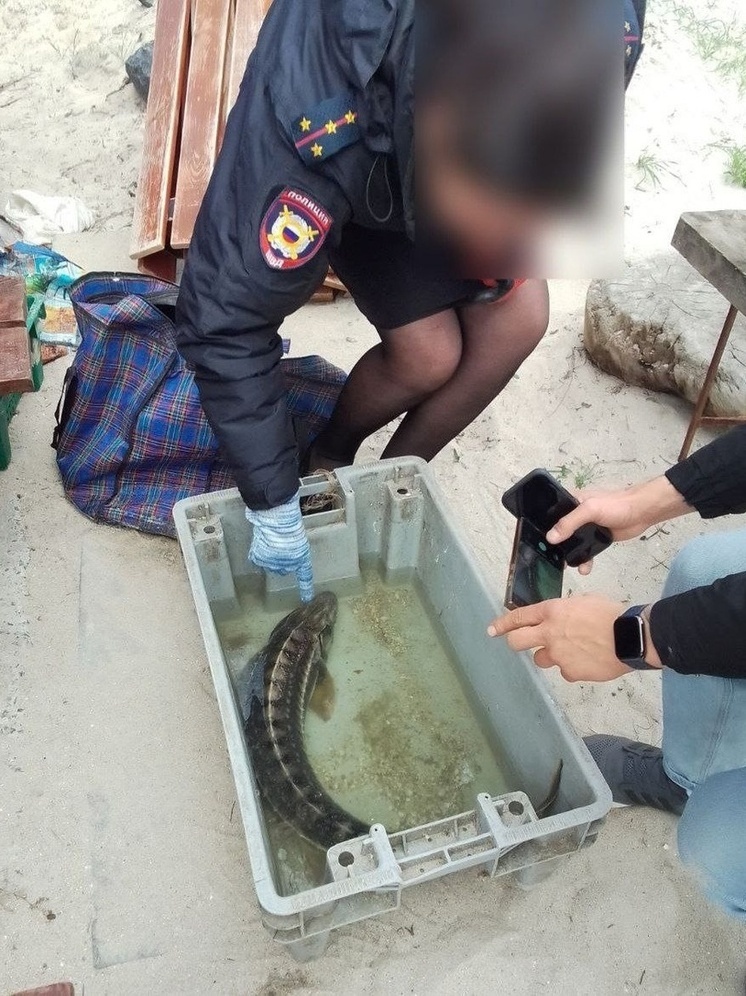 В Бердянске задержан браконьер с запрещенными орудиями лова