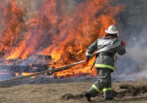 Сегодня, 30 апреля, ленинградские пожарные отмечают Всероссийский День пожарной охраны. Начальник ГКУ «Леноблпожспас» Дмитрий Русевич обратился с поздравлением к коллегам и ветеранам пожарной охраны Ленинградской области в преддверии профессионального праздника. Сообщили в пресс-службе управления.