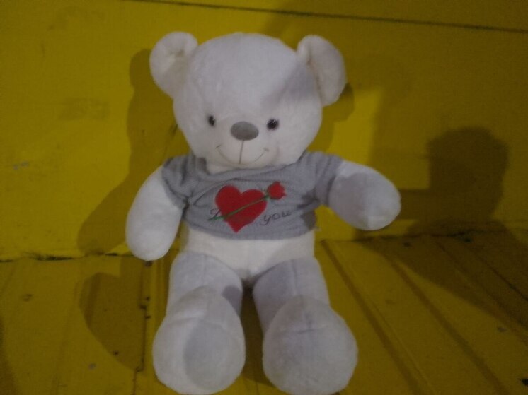 В Хакасию по видом мягких игрушек ввезли 45 тысяч электронных сигарет