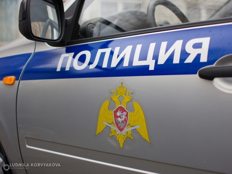Полиция Карелии сообщили о порядке выдворения и запрета въезда для иностранных граждан