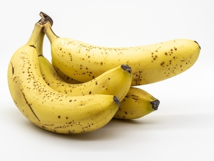 В Сочи продолжается строительство банановых теплиц