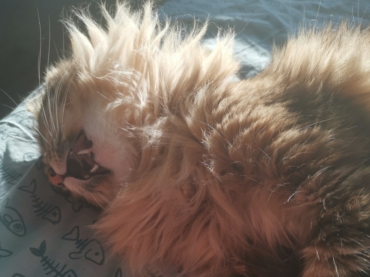 Мощная магнитная буря скоро обрушится на Приморье: жителей просят беречь здоровье