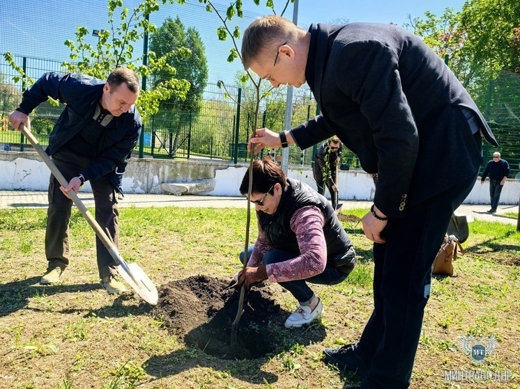 В Донецке в парке Победы высадили липовый сад