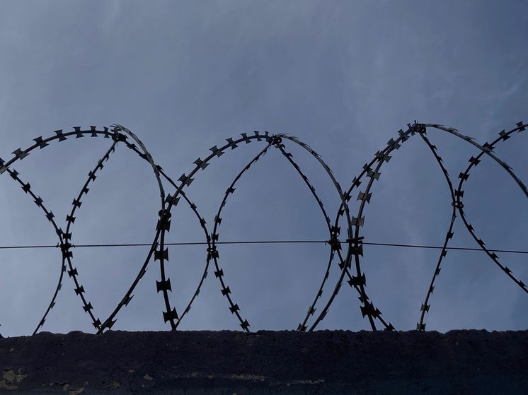 Томич-рецидивист получил 3 года за грабеж пенсионерки