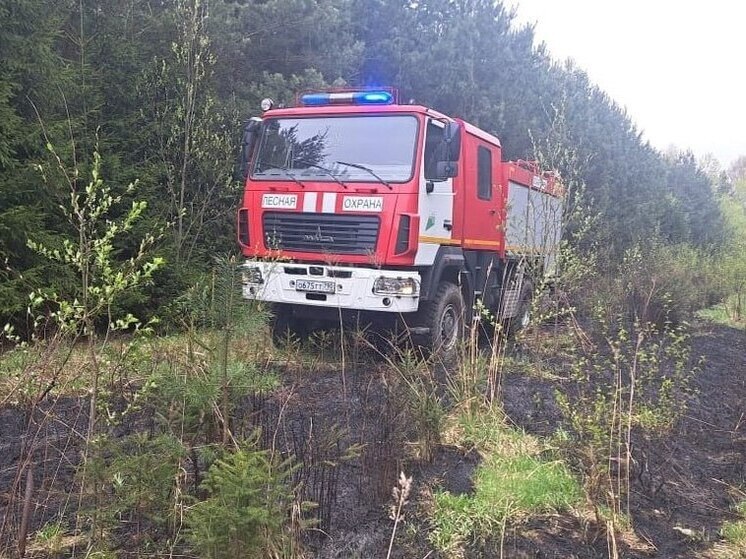 2 лесных пожара вспыхнули в Подмосковье за сутки