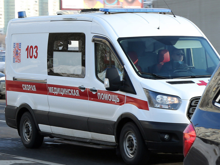 Авария с участием маршрутки и грузовика случилась на Фряновском шоссе