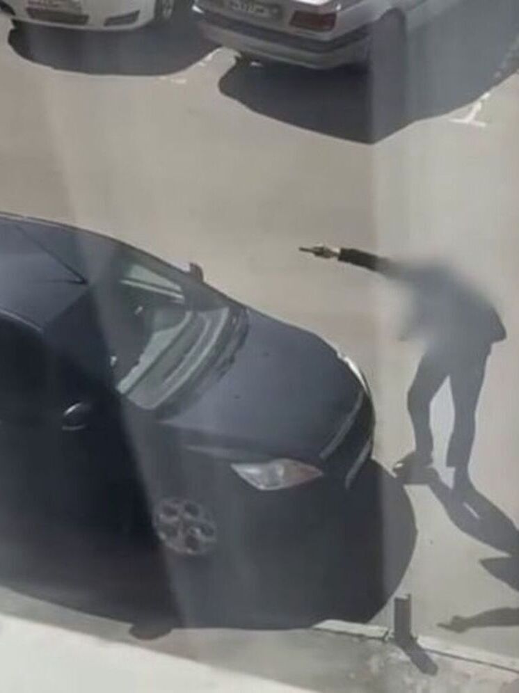 Дело о стрельбе на Пискунова заинтересовало СКР