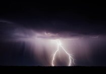 Дептранс Москвы сообщил, что, по данным синоптиков, в Москве 1 мая ожидается сильный дождь с грозой