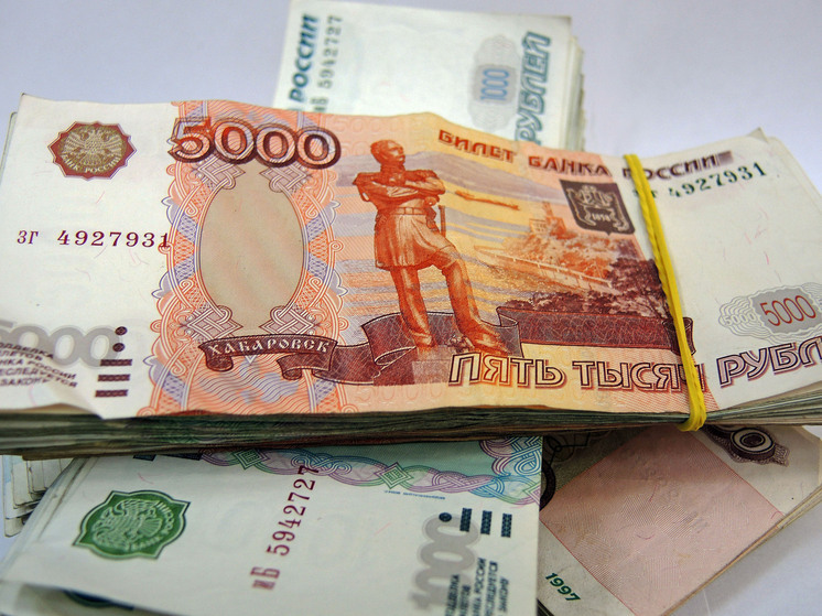 Депутат Нилов призвал поднять МРОТ в России до 34 тысяч рублей