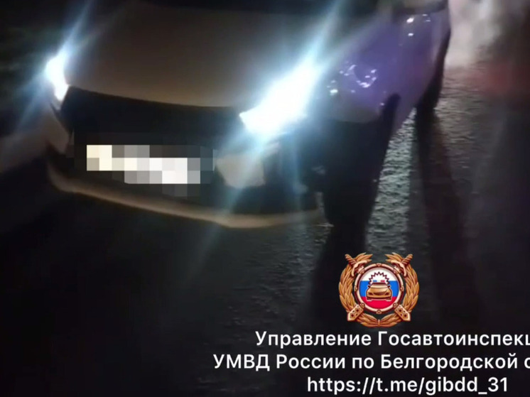 В Белгороде водитель «Лады» насмерть сбил пешехода
