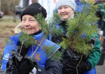 В честь 80-летия Победы в Великой Отечественной войне компания «ФосАгро» открыла аллею Победы у Валимского рубежа – в месте, где в 1941 году развернулись ожесточенные бои на подступах к Волхову.