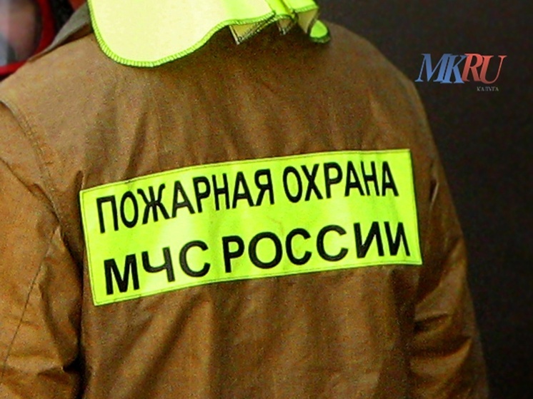 В калужских лесах зафиксирован пятикратный рост термоточек