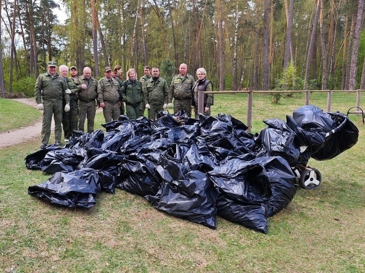 Из бора в Серпухове вывезли бытовой мусор